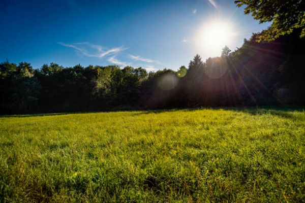 Vente terrain PONTCARRE Seine-et-Marne