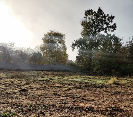 Vente terrain SERRIS Seine-et-Marne