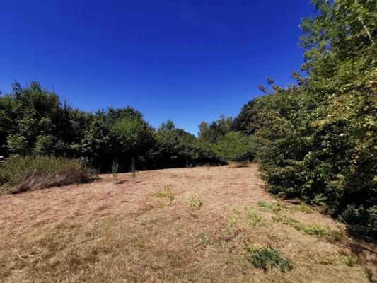 Vente terrain VILLENEUVE LE COMTE Seine-et-Marne