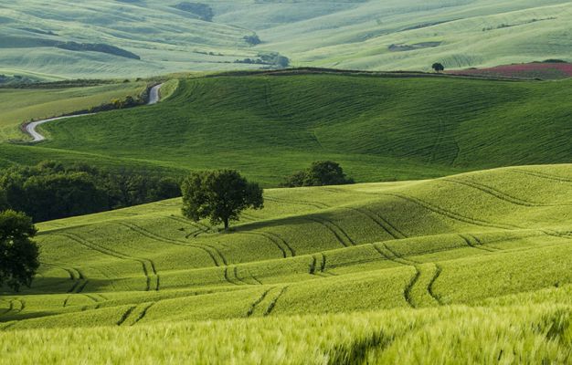 Vente terrain Boissy Le Chatel Seine-et-Marne