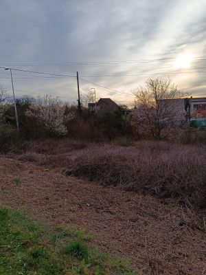 Vente terrain CHANTELOUP LES VIGNES Yvelines